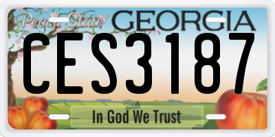 GA license plate CES3187