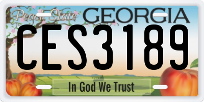 GA license plate CES3189