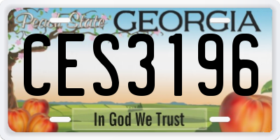 GA license plate CES3196