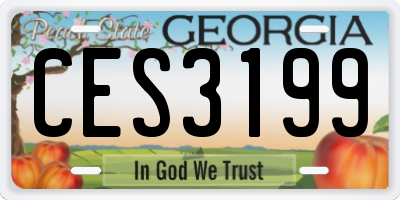 GA license plate CES3199
