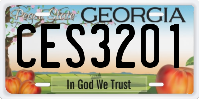 GA license plate CES3201
