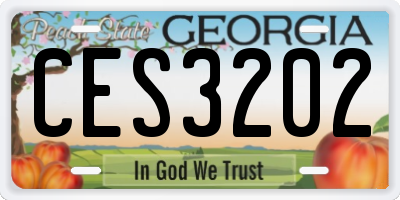 GA license plate CES3202