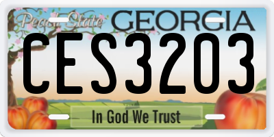 GA license plate CES3203
