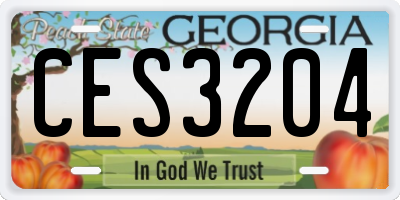 GA license plate CES3204