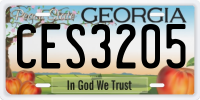 GA license plate CES3205