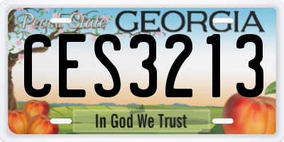 GA license plate CES3213