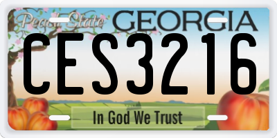 GA license plate CES3216