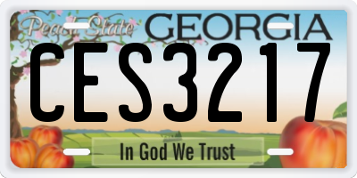 GA license plate CES3217