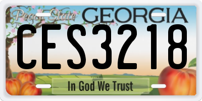 GA license plate CES3218