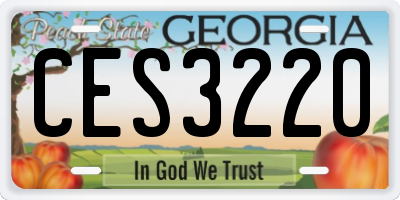 GA license plate CES3220
