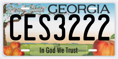 GA license plate CES3222