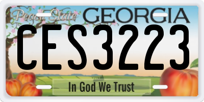 GA license plate CES3223