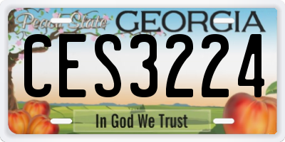 GA license plate CES3224
