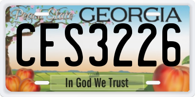 GA license plate CES3226