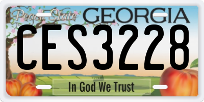 GA license plate CES3228