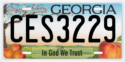 GA license plate CES3229