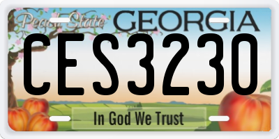 GA license plate CES3230