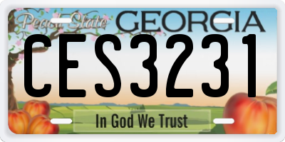 GA license plate CES3231