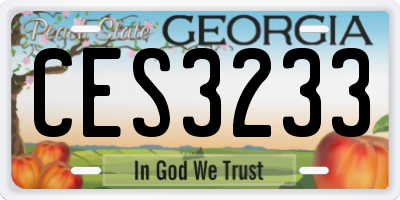 GA license plate CES3233