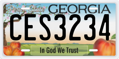 GA license plate CES3234
