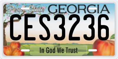 GA license plate CES3236