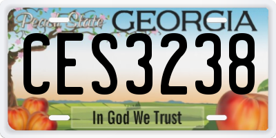 GA license plate CES3238