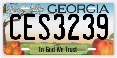 GA license plate CES3239