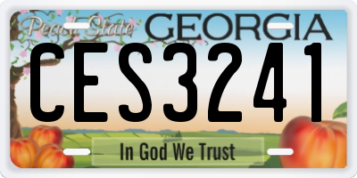 GA license plate CES3241