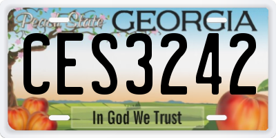 GA license plate CES3242