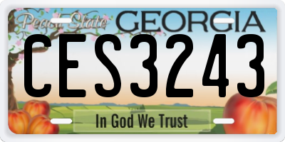 GA license plate CES3243