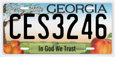 GA license plate CES3246