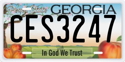 GA license plate CES3247