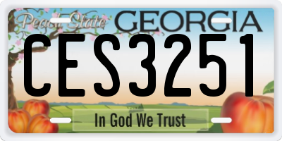 GA license plate CES3251