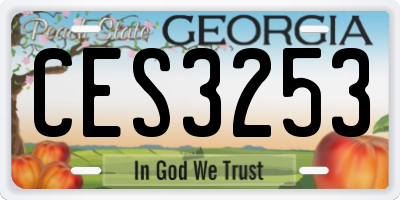 GA license plate CES3253