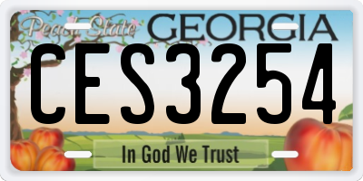 GA license plate CES3254