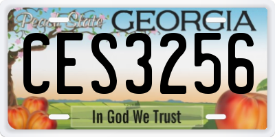 GA license plate CES3256