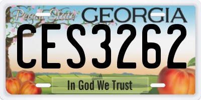 GA license plate CES3262