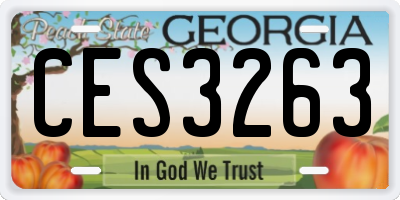 GA license plate CES3263
