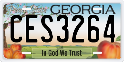 GA license plate CES3264