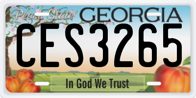 GA license plate CES3265