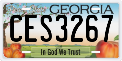 GA license plate CES3267