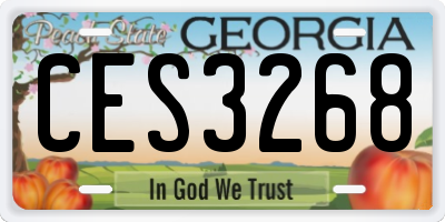 GA license plate CES3268