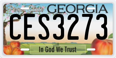 GA license plate CES3273