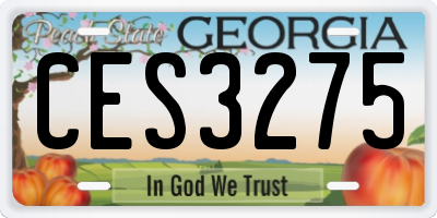 GA license plate CES3275