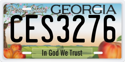 GA license plate CES3276