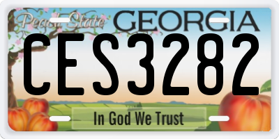 GA license plate CES3282