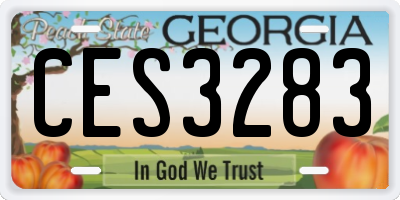 GA license plate CES3283