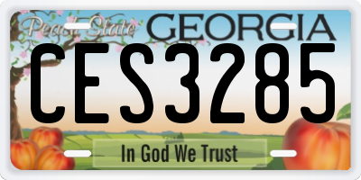GA license plate CES3285