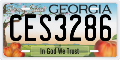 GA license plate CES3286