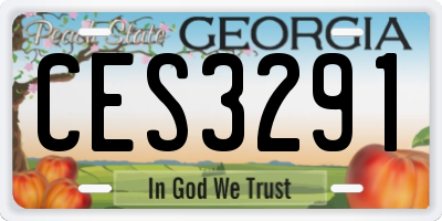 GA license plate CES3291